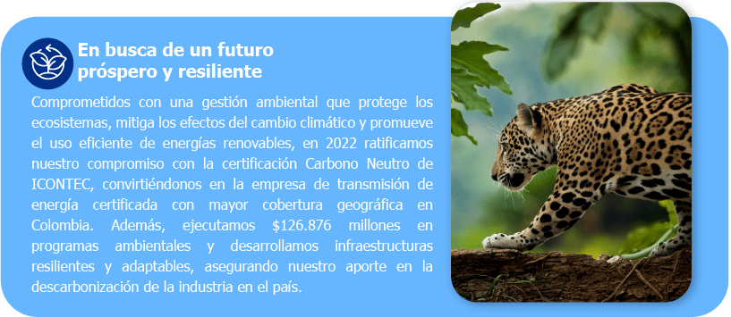 En busca de un futuro próspero y resiliente Comprometidos con una gestión ambiental que protege los ecosistemas, mitiga los efectos del cambio climático y promueve el uso eficiente de energías renovables, en 2022 ratificamos nuestro compromiso con la certificación Carbono Neutro de ICONTEC, convirtiéndonos en la empresa de transmisión de energía certificada con mayor cobertura geográfica en Colombia. Además, ejecutamos $126.876 millones en programas ambientales y desarrollamos infraestructuras resilientes y adaptables, asegurando nuestro aporte en la descarbonización de la industria en el país.